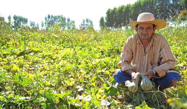 A Empresa de Assistência Técnica e Extensão Rural (Emater) deve destinar, até o fim do primeiro semestre de 2016, entre R$ 17 milhões e R$ 20 milhões de crédito rural para aproximadamente mil produtores do Distrito Federal; a verba faz parte dos investimentos do Plano Safra da Agricultura Familiar; no final de junho, o Ministério do Desenvolvimento Agrário divulgou a destinação de R$ 28,9 bilhões em recursos para todo o Brasil — 20% a mais que na última temporada; desse valor, R$ 26 bilhões virão do Pronaf