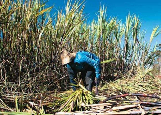 Basta um problema climático, ou uma mudança nos preços mercado internacional, para os mesmos representantes do setor argumentarem que as leis de mercado definem o preço para o consumidor