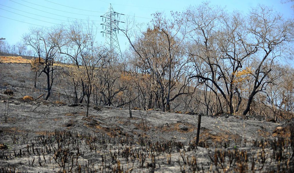 Uma chuva forte ajudou a controlar as frentes de fogo de difícil acesso no Parque Nacional da Serra dos Órgãos, na região serrana do Rio; segundo a Coordenadoria de Emergências Ambientais do Instituto Chico Mendes de Conservação da Biodiversidade (ICMBio), "os incêndios caminham para extinção, mas para afirmar que o fogo está controlado ainda são necessários sobrevoos nos horários mais quentes do dia"