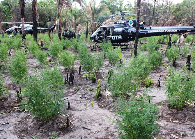 Enquanto a maconha não for liberada, as pessoas continuarão procurando bocas-de-fumo, onde outras drogas acabarão lhes sendo empurradas. E ainda correrão risco ao se relacionarem com criminosos