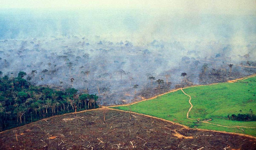 O ambientalista Tasso Azevedo nos atualiza a respeito da luta em prol da preservação das florestas nos dias de hoje. Estimuladas pelas terríveis perdas dos anos 90, novas leis (e dados transparentes) estão ajudando a desacelerar o ritmo do desmatamento no Brasil. Será que isso é o suficiente? Ainda não. Ele tem cinco ideias sobre o que devemos fazer a seguir, e se pergunta se as lições aprendidas no Brasil podem ser aplicadas em um problema ainda maior: as mudanças climáticas globais.