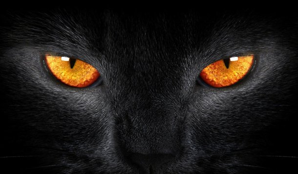 Entrar com o pé direito, evitar gatos negros, bater na madeira. Um estudo recente mostra que as crenças supersticiosas têm um inusitado papel na evolução e podem até estar associadas a um gene específico