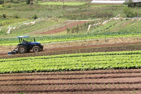 O Governo do Paraná priorizou seus investimentos em infraestrutura no meio rural com a aplicação de R$ 132,1 milhões em programas e ações que beneficiam os produtores; houve adequação de estradas rurais, apoio à distribuição de calcário, incentivo à atividade leiteira, produção de café, apoio ao manejo e conservação de solos em microbacias