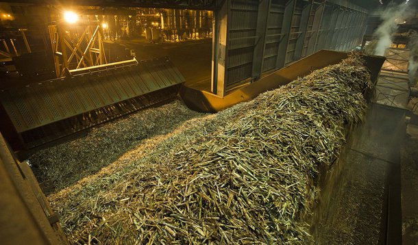 As usinas do Centro-Sul do Brasil deverão ampliar a moagem de cana na safra 2015/2016; de acordo com a consultoria Datagro, a melhora climática deverá elevar a produção para 604,6 milhões de toneladas, contra 591 milhões de toneladas da pevisão anterior, realizada em julho