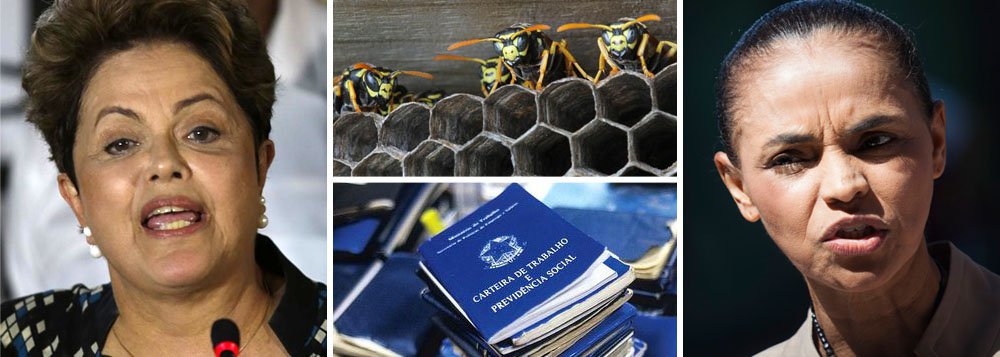 Um dia depois de Marina Silva admitir mexer num vespeiro popular e defender a "atualização" da Consolidação das Leis do Trabalho, que assegura direitos dos trabalhadores, a presidente Dilma Rousseff voltou a contestá-la; ao ser questionada por um empresário no interior paulista sobre se poderia alterar pontos como férias e décimo-terceiro, ela não deu margem a dúvidas: "nem que a vaca tussa"; mais um ponto que separa as duas candidatas que lideram as pesquisas eleitorais