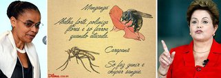 Candidata do PSB à Presidência volta a se vitimizar nas redes sociais ao se comparar a um carapanã, um frágil mosquito, diante da presidente Dilma Rousseff, que seria um mangangá, zangão gordo e de ferroada potente; declaração foi rebatida pela campanha petista: "Nosso coração valente, Dilma poderia, sim, ser um mangangá, robusta abelha responsável por construir, defender e alimentar o ninho. Já o mosquito..."