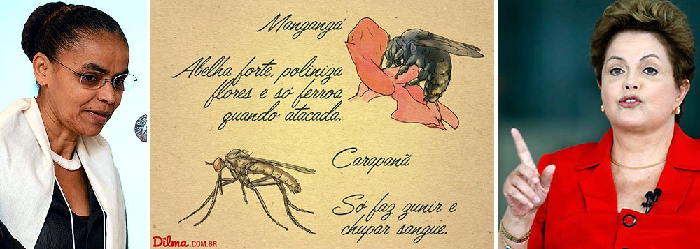 Candidata do PSB à Presidência volta a se vitimizar nas redes sociais ao se comparar a um carapanã, um frágil mosquito, diante da presidente Dilma Rousseff, que seria um mangangá, zangão gordo e de ferroada potente; declaração foi rebatida pela campanha petista: "Nosso coração valente, Dilma poderia, sim, ser um mangangá, robusta abelha responsável por construir, defender e alimentar o ninho. Já o mosquito..."