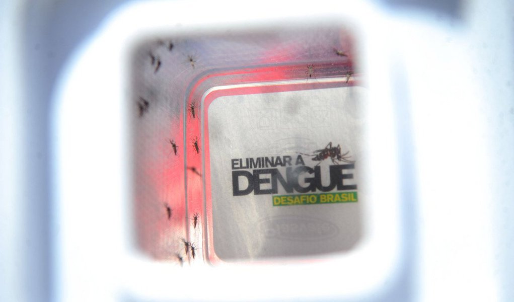 Os casos de dengue no estado do Rio caíram 97%, quando comparados os dados de janeiro a outubro deste ano com os do mesmo período de 2013 – o que representa a maior queda da doença no país em 2014; a secretaria de Estado de Saúde registrou até o dia 11 de outubro, 6.859 casos de dengue em todo o estado; de acordo com a pasta, esse é um dos menores índices da série histórica da dengue no estado; também foram confirmados oito óbitos