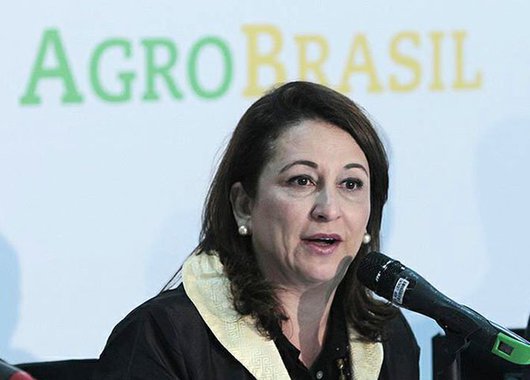 Os líderes camponeses brasileiros, ou quase a totalidade deles, apoiaram e sempre vão apoiar Dilma. E não se trata apenas de generosidade, mas de visão histórica