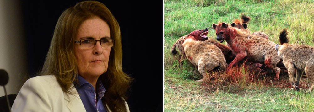 Blogueiro Fernando Brito aponta "amadorismo político" por parte da presidente Dilma e de Graça Foster e cita como exemplo a produção de "um número gigantesco e fantasioso" no relatório da Petrobras: R$ 88 bilhões; a própria estatal reconhece a cifra como "imprestável, como de fato é"; e assim "entregou carne às hienas", afirma