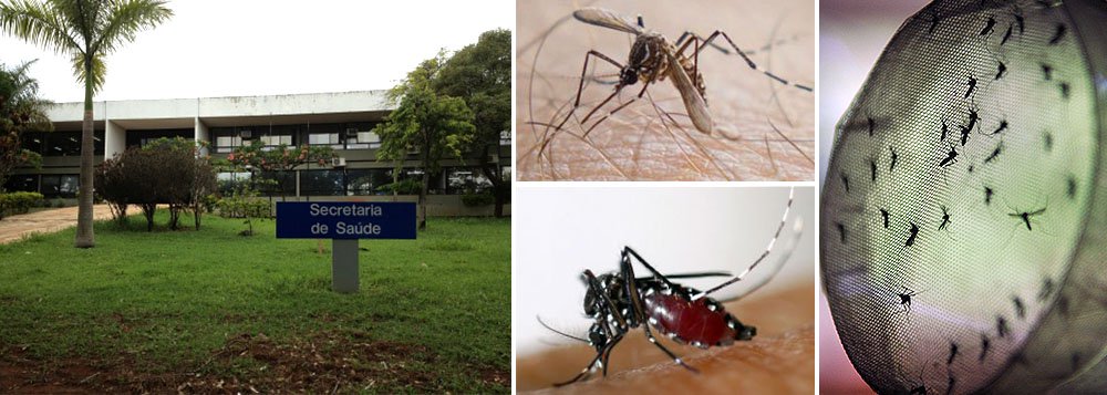A Secretaria de Saúde do Distrito Federal confirmou o terceiro caso de febre chikungunya contraída em Brasília; com a confirmação, sobe para sete o número de casos da febre confirmados nno DF; os outros quatro casos foram de pacientes infectados pelo vírus em viagens ao exterior; levantamento da secretaria apontou que 33 casos foram notificados em 2014; destes, 25 foram descartados e dois ainda passam por investigação