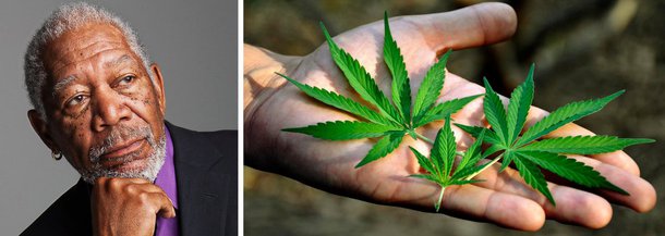 O ator americano Morgan Freeman, 77 anos, defendeu em entrevista ao "Daily Beast" a legalização do uso recreativo da maconha; "Minha mulher me apresentou há muitos anos. Como eu uso? De qualquer jeito que vier! Eu como, bebo, fumo e cheiro", afirmou; "Esse movimento [de legalização] está vindo há muito tempo, e está ganhando pernas —pernas longas", completou; ator disse que sofre de fibromialgia, doença que provoca dor crônica e se manifesta especialmente nos tendões e nas articulações; "A única coisa que me dá algum alívio é a maconha", afirmou