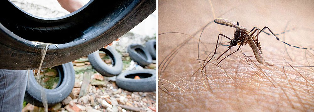 Inicia o treinamento dos cem militares do Exército que auxiliarão no combate à dengue e à febre chikungunya no Distrito Federal; o grupo chegou em Brasília após pedido do governador Rodrigo Rollemberg ao Comando Militar do Planalto; os homens serão divididos em 17 equipes de atuação; o curso de preparação vai até a próxima sexta-feira (6); de acordo com dados da Secretaria de Saúde, 11.458 casos da doença foram registrados em 2014 e 11.520 em 2013; de um ano para o outro, o número de mortes mais que triplicou: passou de 5 para 18 no mesmo período