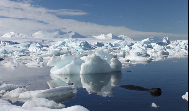 Video de animação resume o dramático encolhimento do gelo no Oceano Ártico nos últimos 27 anos. Mostra que o aquecimento global é real e seus efeitos são assustadores.