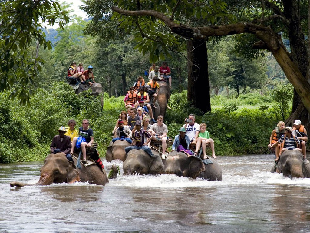 Bali elephant tracking