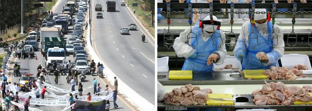 As indústrias de aves e suínos tiveram prejuízo de cerca de R$ 700 milhões de reais com os bloqueios de rodovias realizados por caminhoneiros em diversas rodovias federais do país; número foi divulgado nesta terça-feira, 3, pela Associação Brasileira de Proteína Animal (ABPA); desde 21 de fevereiro, quando os bloqueios começaram a ser sentidos pelas indústrias, cerca de 60 unidades frigoríficas apresentaram desaceleração ou suspensão total da produção, disse a ABPA, incluindo unidades da JBS e da BRF