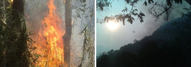 Bombeiros dos quartéis de Petrópolis e Itaipava, na região serrana do Rio de Janeiro, combatem, desde domingo (12), focos de incêndio em diversas localidades, como Retiro das Pedras, Bonsucesso, Estrada da Rocinha, Bonfim e Mata Porcos; uma das mais atingidas é a área de proteção ambiental do Parque Nacional da Serra dos Órgãos (Parnaso), situado entre os municípios de Guapimirim, Magé, Petrópolis e Teresópolis e administrado pelo Instituto Chico Mendes de Conservação da Biodiversidade (ICMBio)