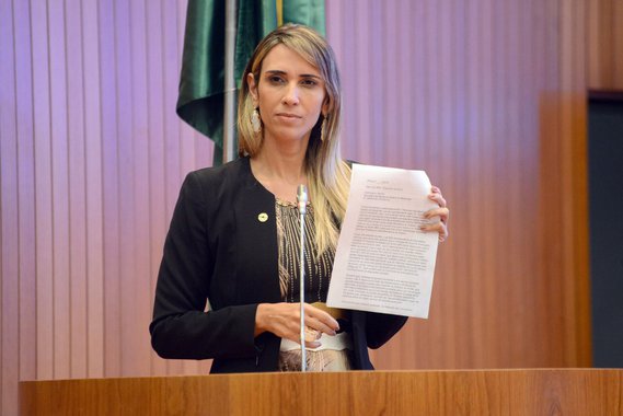 Deputada estadual Andrea Murad (PMDB) admitiu publicamente que utilizou, durante a campanha eleitoral de 2014, uma aeronave não declarada em seus gastos à Justiça Eleitoral; em pronunciamento na Assembleia Legislativa, Andrea afirma que utilizou um avião modelo Seneca para viajar a São João dos Patos onde fez um comício em setembro do ano passado; ocorre que na prestação de contas da parlamentar o relatório de despesas especifica que a prestação de serviço no valor de R$ 110 mil com a PMR Táxi Aéreo é para o transporte através de um helicóptero modelo Esquilo A5350