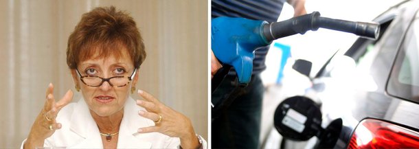 Presidente da União da Indústria de Cana-de-Açúcar (Unica), Elizabeth Farina, disse nesta terça-feira 20 que foi importante para o setor a decisão do governo federal de encarecer os tributos sobre gasolina e óleo diesel, mas ressaltou que ainda é cedo para dimensionar o impacto da medida