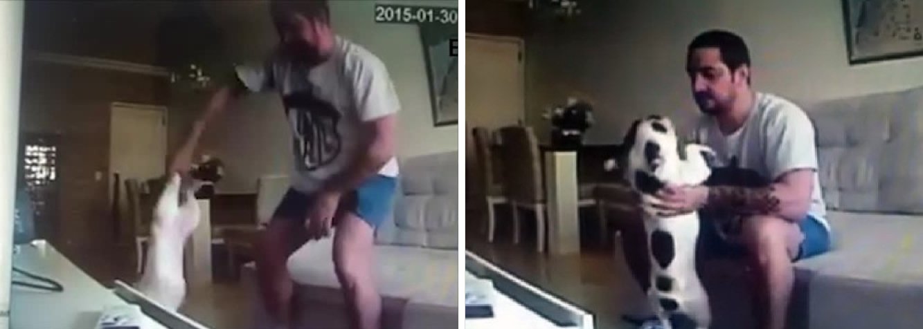 O Ministério Público do Rio de Janeiro confirmou nesta terça (24) que Rafael Hermida, o empresário flagrado em vídeo agredindo os dois cães de sua ex-noiva, pode ser condenado a prestar serviços em um órgão voltado à defesa de animais; o promotor Márcio Almeida está analisando o processo e pode sugerir que Hermida cumpra pena alternativa no Núcleo de Proteção de Animais da Delegacia do Meio Ambiente