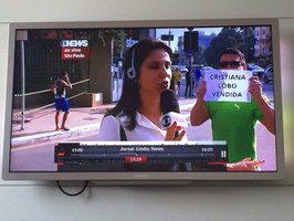 A grande personagem das manifestações de ontem foi sem dúvida Cristiana Lôbo. Uma espécie de Lobão que sorri e veste saias