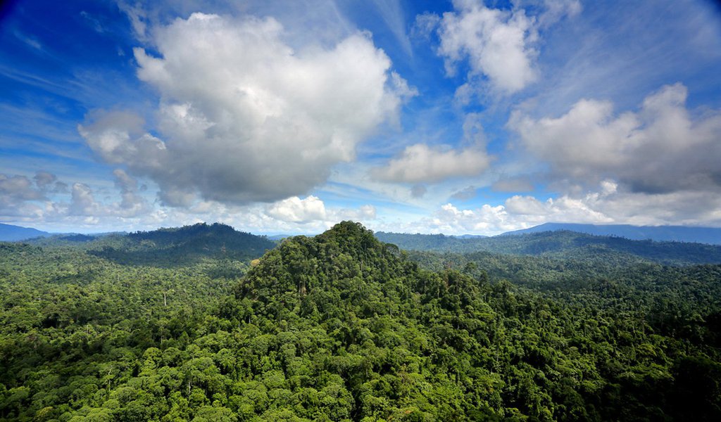 Antonio Donato Nobre estuda as interações entre as florestas e a atmosfera. Sua pesquisa mostrou que há verdadeiros rios de vapor correndo sobre a floresta amazônica e levando umidade para boa parte do continente. Graças a esses rios, a América do Sul não é um deserto como a África. Sua pesquisa revela a fragilidade das florestas diante das atuais mudanças climáticas e o risco que corremos se as perdermos.