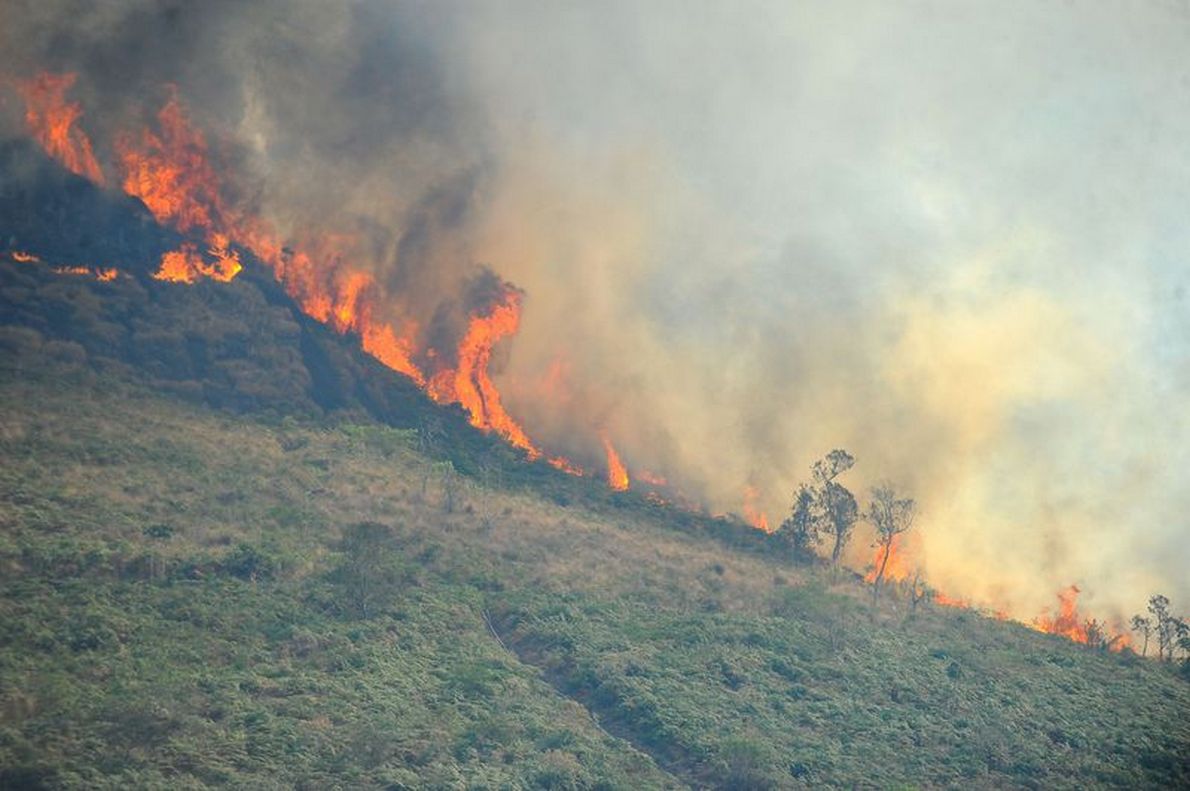 Incêndio florestal que castiga o Parque Nacional da Serra dos Órgãos (Parnaso), na região serrana do Rio de Janeiro, atingiu hoje neste sábado a área dos campos de altitude, um dos ecossistemas mais raros da Mata Atlântica; ontem, a ministra do Meio Ambiente, Izabella Teixeira, sobrevoou a região; ela anunciou o aumento da fiscalização do Ibama no entorno do parque, já que há indícios de que queimadas ilegais tenham desencadeado o incêndio que já destruiu cerca de 590 hectares no Parnaso e 550 hectares no entorno da área de proteção ambiental de Petrópolis