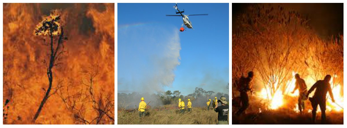 Corpo de Bombeiros Militar do DF informa que, de janeiro a julho de 2014, foram registradas no Distrito Federal 1.226 ocorrências de incêndio com cerca de 1.600 hectares queimados. Apenas neste mês, foram 638 casos e 1.014,44 hectares queimados contra 841 ocorrências com 1.398, 85 hectares atingidos em igual período no ano passado. Diariamente, 170 soldados atuam na Operação Verde Vivo com 8 centros de socorro, 24 viaturas e 4 aeronaves