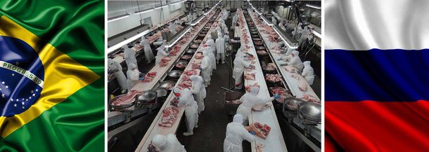 A Rússia aumentou para 93 o número de frigoríficos brasileiros aptos a exportar carnes bovina, suína e de aves, além de miúdos e produtos lácteos para aquele país; medida que beneficia produtores brasileiros ocorre depois que o governo russo embargou as importação de carnes bovina, suína e de aves, mais peixe, queijo, leite, legumes e frutos dos Estados Unidos, da União Europeia, Austrália, Noruega e do Canadá
