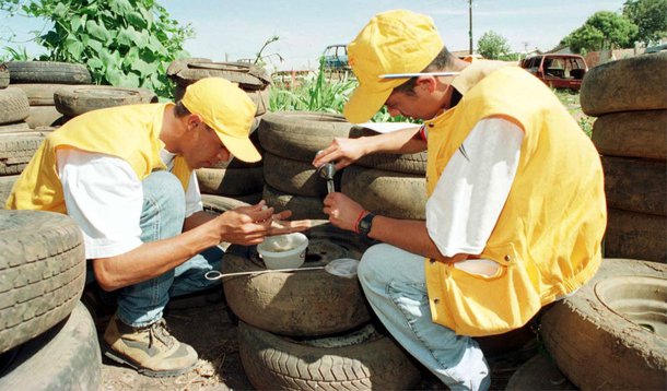 Segundo dados da Secretaria de Saúde do Estado, até o dia 12 de julho, foram 6.035 casos suspeitos da doença e cinco mortes; no ano anterior foram 212.231 casos e 39 mortes; contribuíram para a redução o período de seca prolongado e a imunização da população ao tipo de vírus circulante. Em 2013 foram identificados os vírus 1, 3 e 4 e em 2014 circularam os tipos 1 e 4;  outra iniciativa é o prontuário eletrônico, que auxilia os profissionais das unidades de Pronto-Atendimento (UPAs) nos casos suspeitos de dengue, com a inserção dos dados no sistema, que indica o melhor tratamento de acordo com os sintomas