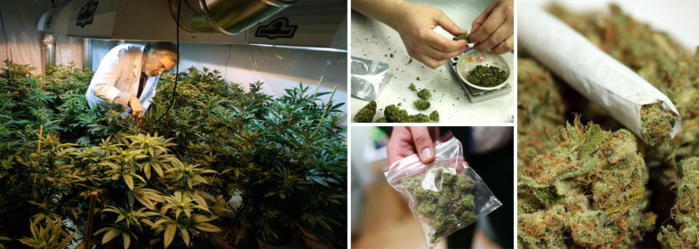 Ao absolver um homem acusado de tentar entrar em um presídio com drogas, magistrado Frederico Ernesto Cardoso Maciel diz que a inclusão do THC — princípio ativo encontrado na maconha — na categoria de drogas ilícitas no Brasil se deu sem a justificativa para a restrição de uso e comércio; segundo ele, a proibição do consumo de substâncias químicas deve respeitar os princípios da igualdade, liberdade e dignidade humana; assim, afirma que é incoerente que a maconha seja proibida, enquanto o álcool e o tabaco têm a venda liberada, “gerando milhões de lucro para os empresários”