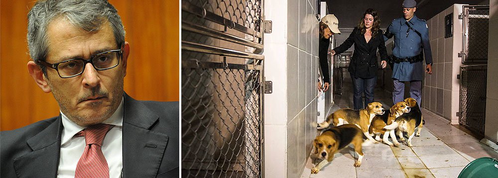 Em editorial, jornal de Otávio Frias condena a invasão do Instituto Royal e defende as pesquisas científicas. "Faz muito, entretanto, que a discussão se emancipou do extremismo irracional. Pesquisadores são grandes interessados em diminuir o uso de animais, porque isso custa caro e expõe seus estudos a questionamentos éticos", diz ele