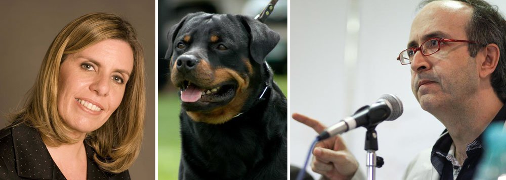 Volta do blogueiro de Veja à Folha de S.Paulo, onde já atuou como editor-adjunto de política, "suscitou reações fortes" e mostrou que, da parte dos leitores, "poucos se manifestaram a favor de Reinaldo", segundo Suzana Singer; com o anúncio de novos colunistas pelo jornal, espera-se, diz ela, "garantir um bom nível de 'conversa'" na internet e, no impresso, "mais substância, menos espuma"; Reinaldo Azevedo já respondeu, comparando a ombudsman aos nazistas - "Suzana decidiu, como os nazistas, meter um triângulo amarelo em mim" - e de "heroína da Al Qaeda eletrônica"; "Esperava, sim, uma reação agressiva, mas não achei que Suzana chegasse a tanto", lamenta; crise na Folha