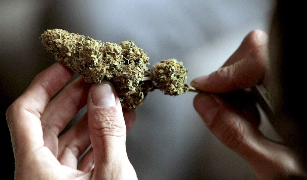 Usuários da Cannabis Sativa pagarão o valor de US$ 1 por cada grama, segundo anunciaram nessa sexta-feira, 2, as autoridades uruguaias, ao apresentar os detalhes da aplicação da lei que regula o mercado; um máximo de 10 hectares da erva vai ser plantado sob licença oficial; Uruguai aprovou, em dezembro de 2013, um plano inédito para legalizar a produção e venda de maconha