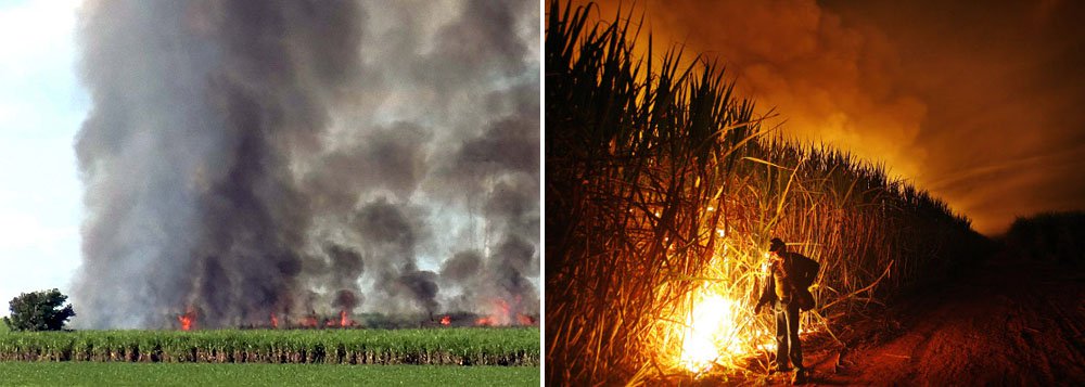 Instituto Ambiental do Paraná (IAP) não deve conceder novas autorizações para a queima controlada da cana-de-açúcar ou nem renovar as já expedidas em Umuaruma; ‘‘Tendo sido realizadas queimadas de palhas de cana-de-açúcar sem a respectiva licença ambiental, e sendo certo que tais queimadas poluem a atmosfera terrestre, evidencia-se a ilicitude do ato’, disse o desembargador federal
 