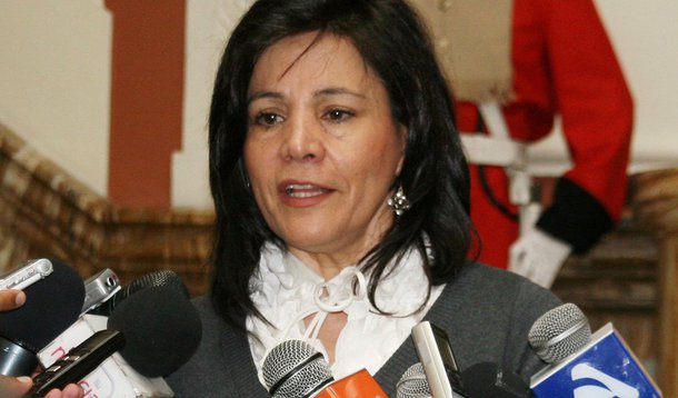 "Soubemos da saída de Patriota pela imprensa e preferimos esperar as informações do governo brasileiro sobre esse episódio, que violou as normas da Bolívia, do Brasil e internacionais", disse Amanda Davila sobre a fuga do senador boliviano Roger Pinto Molina 