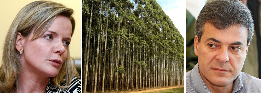 Senadora e pré-candidata ao governo do Paraná divulgou nota oficial contra o leilão de florestas remanescente da Mata Atlântica, situada entre a Serra do Mar e o interior do estado; o governo Beto Richa (PSDB) pretende arrecadar R$ 100 milhões com a venda de 12 mil hectares de mata; segundo Gleisi Hoffmann (PT), privatização tucana "representa ameaça concreta a conservação ambiental e aos direitos das gerações futuras"