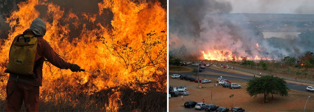 Registrados neste mês pelo Corpo de Bombeiros, os focos devastaram uma área de 728 hectares, o equivalente a 728 campos de futebol