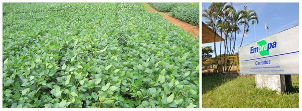 Parlamentares distritais e federais contestam a proposta de desapropriação de uma área de 90 hectares onde funciona, desde 1975, o Centro de Pesquisa Agropecuária dos Cerrados para a construção de 4.900 unidades de habitação popular; Ministério Público diz que a região não teria recursos hídricos suficientes para abastecer 20 mil pessoas. Governo alega estar seguindo a legislação distrital 