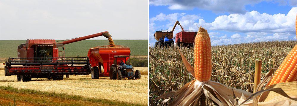 Segundo a primeira versão elaborada pelo Departamento de Economia Rural (Deral), da Secretaria da Agricultura e do Abastecimento, a comercialização da safra agrícola e pecuária do último ano alcança R$ 69,1 bilhões, com aumento de 20% se comparado a 2012