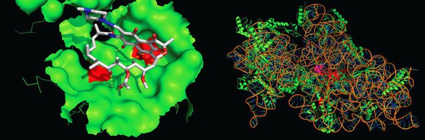 A crescente resistência humana a antibióticos poderá fazer com que esses medicamentos não sejam mais eficazes em um futuro próximo, levando o mundo a uma era "pós-antibióticos", na qual uma simples infecção na garganta ou um arranhão podem ser fatais, diz a OMS (Organização Mundial da Saúde)