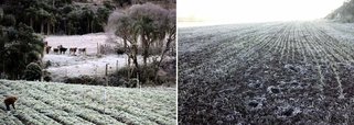 "A quarta-feira será o dia mais frio desta semana, devido a presença do centro da massa de ar polar próxima ao Estado", disse em nota o Simepar, órgão ligado ao governo do Paraná. Temperatura também afeta plantações no Mato Grosso, São Paulo e Minas Gerais