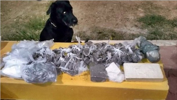 Policiais militares (PMs) apreenderam em uma ilha, sem habitantes, no bairro Boqueirão, em Maricá, na região das Baixadas Litorâneas, 43 quilos (kg) de maconha em embrulhos prensados de 1 kg cada; também foram apreendidos papelotes de cocaína
 