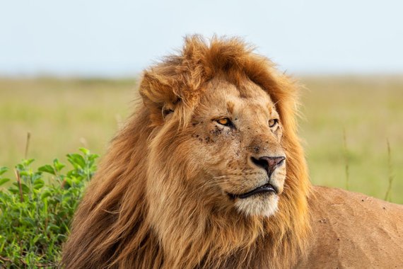 Correção fica abaixo do índice de inflação projetada para este ano, entre 6,1% e 6,2%, de acordo com o Banco Central. Pela nova tabela, que passa a valer a partir de 2015, quem receber por mês até R$ 1.868,22 estará isento