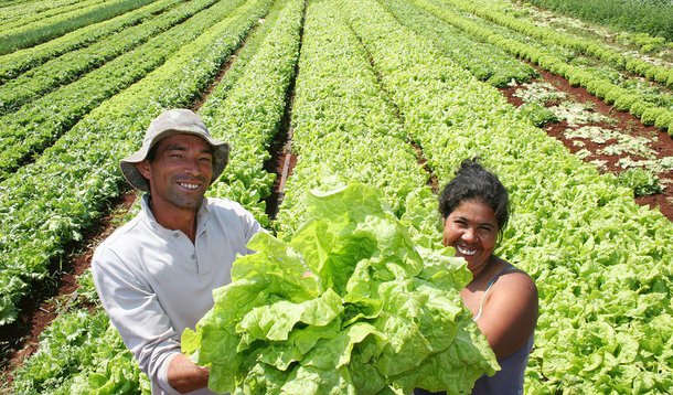 Agricultores familiares do Distrito Federal poderão fornecer produtos a uma famosa rede internacional de hipermercados, por meio do "Clube dos Produtores", iniciativa que contempla 120 itens, entre hortifruti, pães e doces artesanais, produzidos por 162 trabalhadores locais