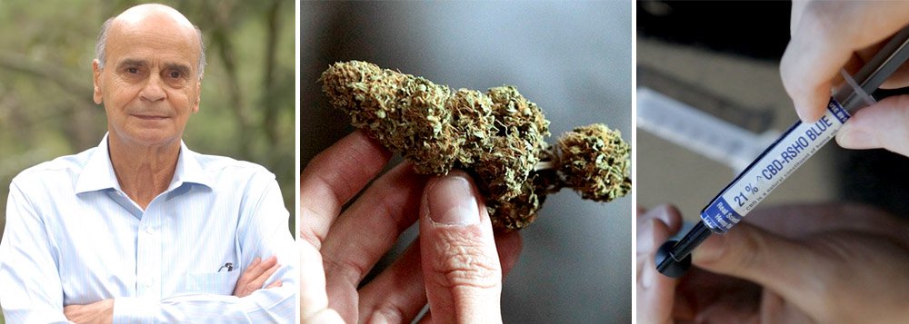 No momento em que cresce no Brasil a tendência pela legalização do consumo da maconha, o médico Dráuzio Varella lembrou que já tem quase 30 anos que a medicina conhece o papel da canabis na modulação da dor, no controle dos movimentos, na formação e arquivamento de memórias e até na resposta imunológica de pacientes; "Com tal espectro de ações em patologias tão diversas, só gente muito despreparada pode ignorar o interesse medicinal da maconha. Qual a justificativa para impedir que comprimidos de THC e de seus derivados cheguem aos que poderiam se beneficiar deles?", questiona