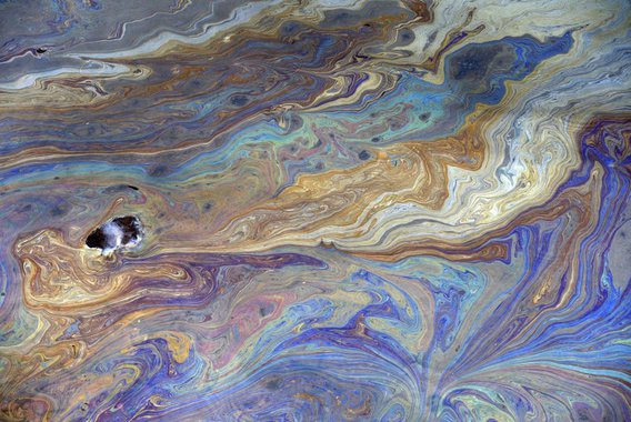 Segundo a Secretaria do Meio Ambiente e Recursos Hídricos (Semarh) e o Instituto Brasília Ambiental do Distrito Federal (Ibram), inicialmente a interdição será por 15 dias