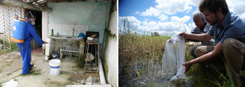 Os casos de dengue no Distrito Federal caíram 69,81% nas duas primeiras semanas de 2014, quando comparado ao mesmo período do ano passado; este ano foram registrados 64 casos confirmados, enquanto no mesmo período de 2013 esse número chegou a 212 casos