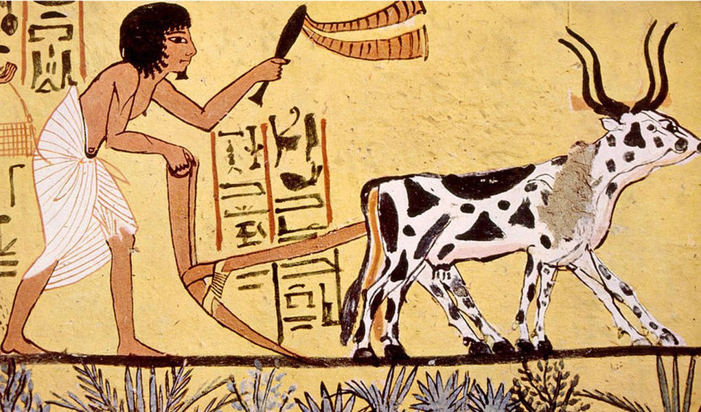 Começou nesta segunda a Semana de Egiptologia do Museu Nacional (Semna). O evento, que vai até a próxima sexta-feira (6) reúne pesquisadores e estudantes brasileiros em mais de 20 debates e conferências, mas não é restrito à comunidade acadêmica