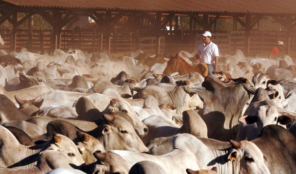 Embora o Índice de Atividade Econômica do Banco Central (IBC-Br) dessazonalizado (ajustado para o período) apresentou queda de 0,31% em novembro, comparado com outubro, houve crescimento de 1,34% (sem ajustes) na comparação com novembro de 2012; no ano passado, até novembro, o IBC-Br apresentou expansão de 2,68%; em 12 meses encerrados em novembro, a expansão ficou em 2,43%